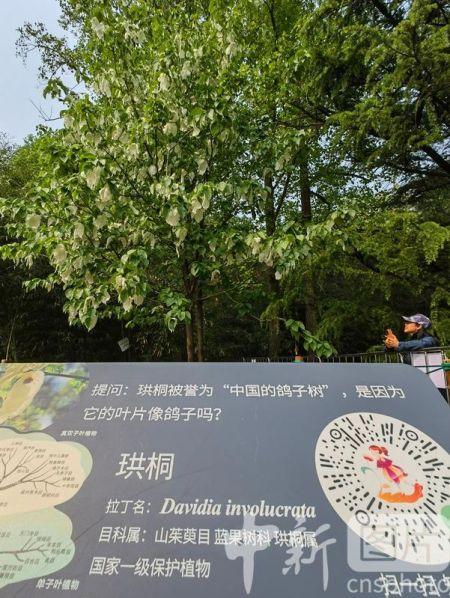 2025年4月3日 第2页