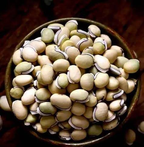 这种食物被赞为“祛湿第一豆”药用、食用价值都很高！