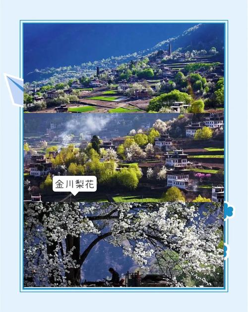 从金川看梨花回来，又到了汉源看梨花，两者皆可欣赏
