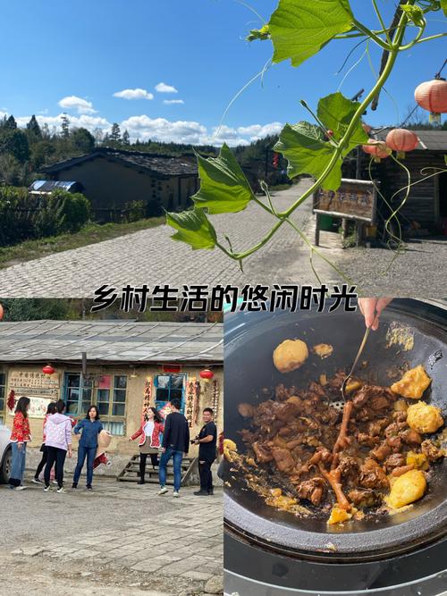 徐水区小西庄村内漫游2025.4.3#记录时光#原生态乡村生活