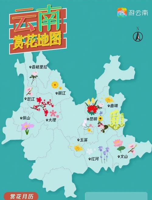 河北赏花地图小程序上线！一键解锁3000 景点，春日出行更AI