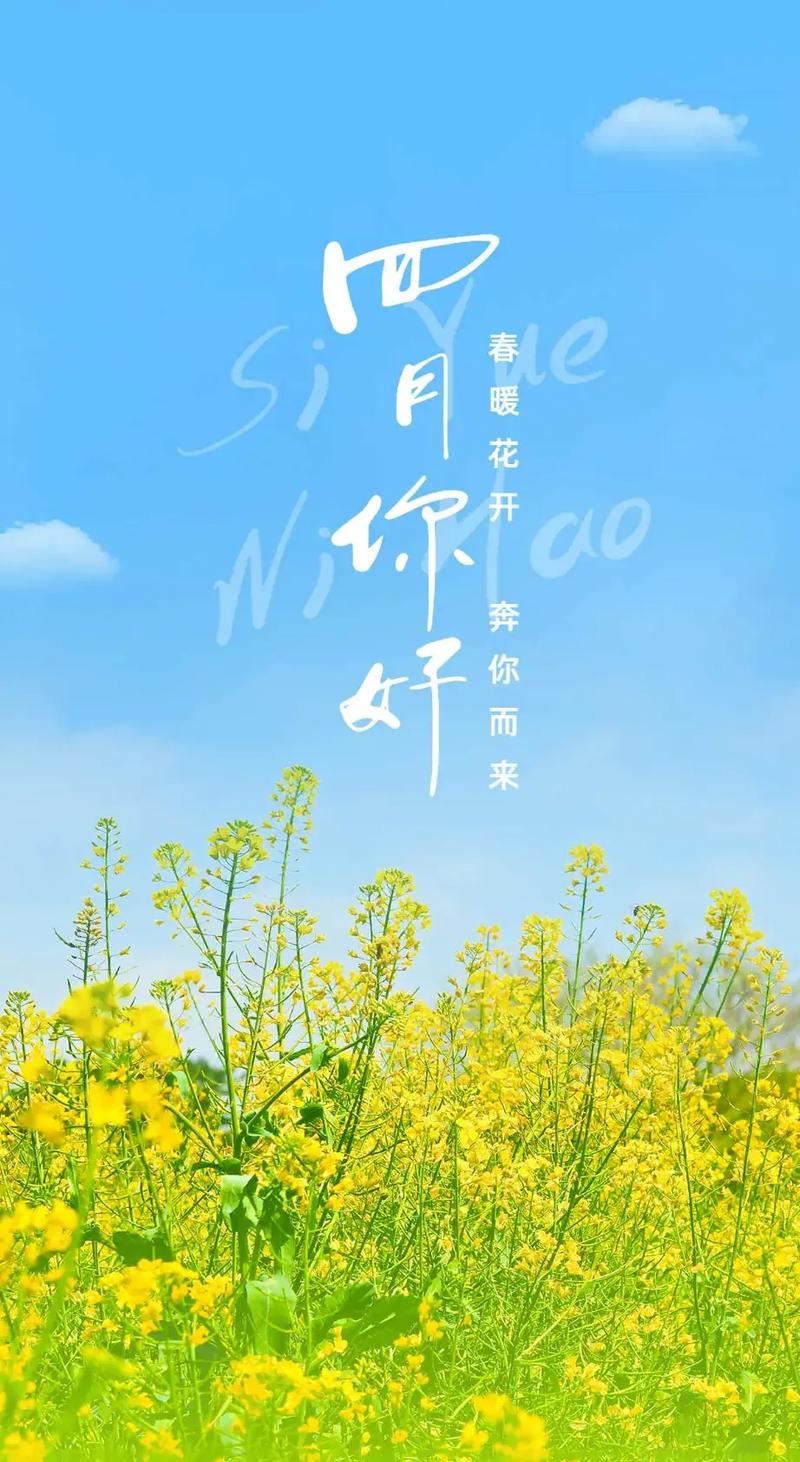 #人间四月天 春暖花开奔你而来 记录快乐时光 留住美好瞬间