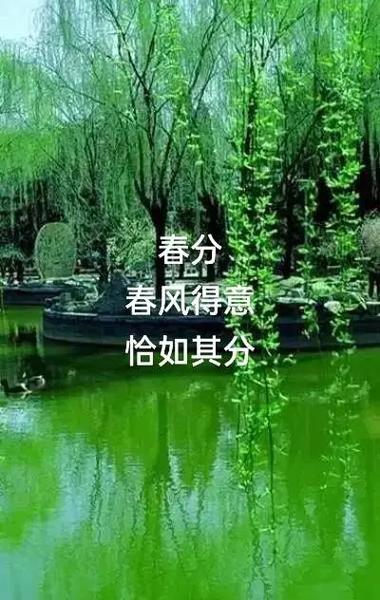 春和景明，万物复苏～快来花都临夏一起给春天和你按下快门！
