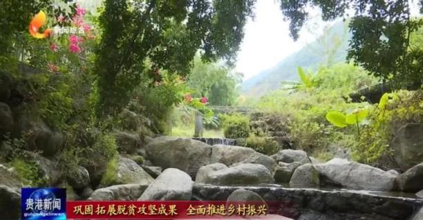 花石镇：以庭院“小美”助力乡村“和美”