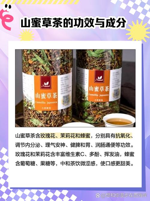 山路、蜜香与子夜鲜叶—云南春茶季的第四趟深山淬炼