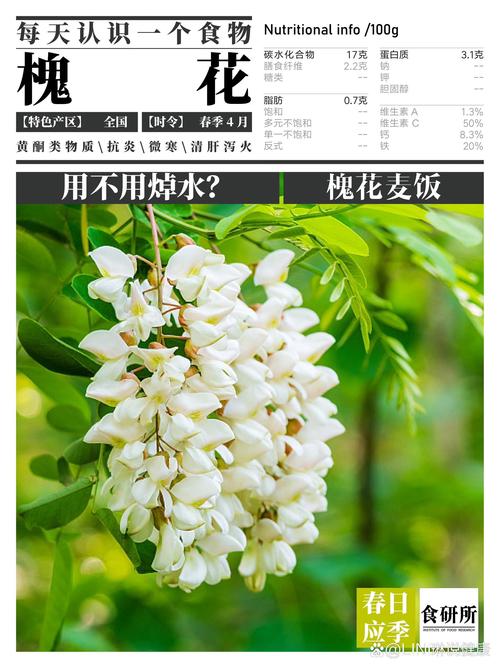 又到一年槐花开，槐花的做法大全送给大家！