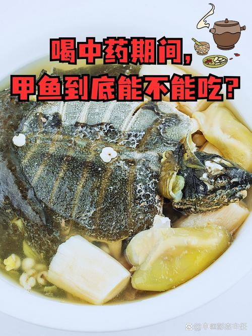 甲鱼活了半辈子都不知道，配上这两种食材，绝对是硬菜的天花板