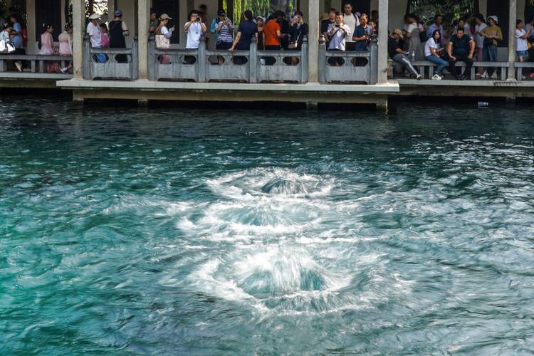 果然视频|高压水枪 水面拉网，济南趵突泉景区多措并举治飘絮