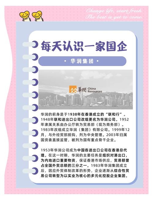 年均增速500%润泽国际何以领跑？