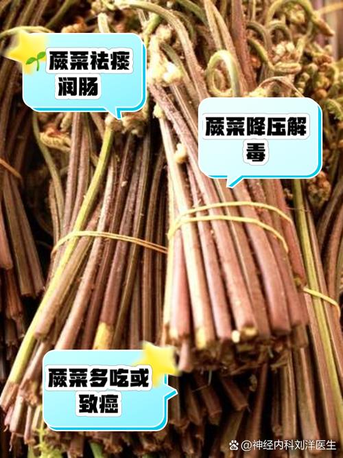 原来蕨菜花还有这作用，总是解决了我的烦恼，比花钱管用