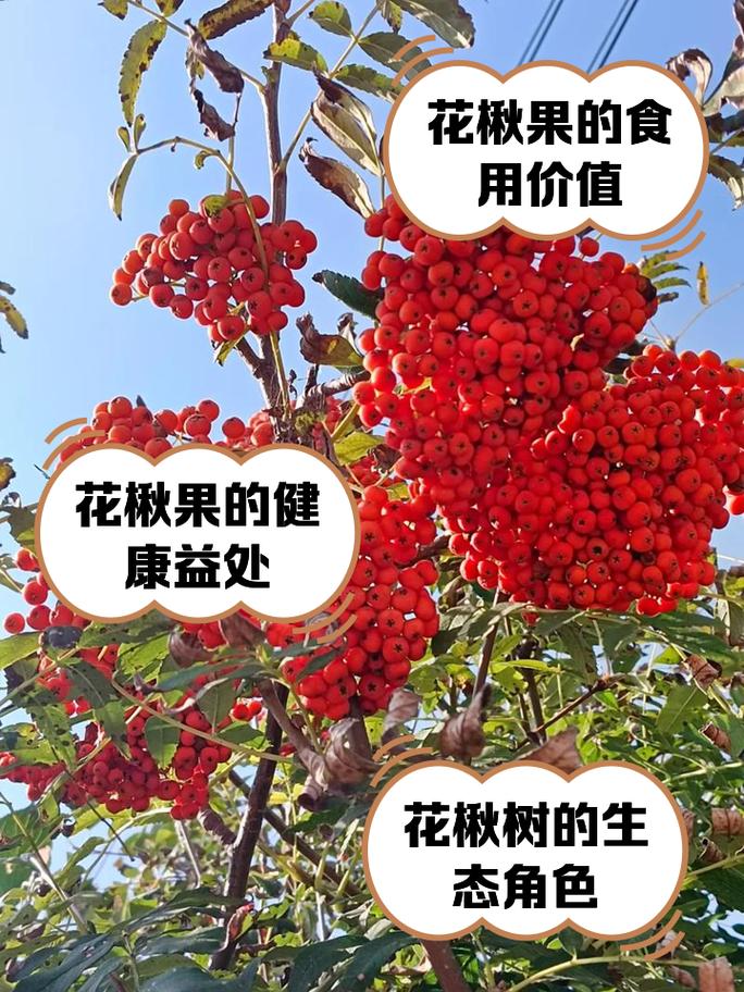 2025年4月12日 第2页
