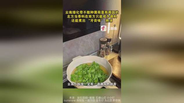 花样百出的云南绿化带，为啥没有薄荷的身影