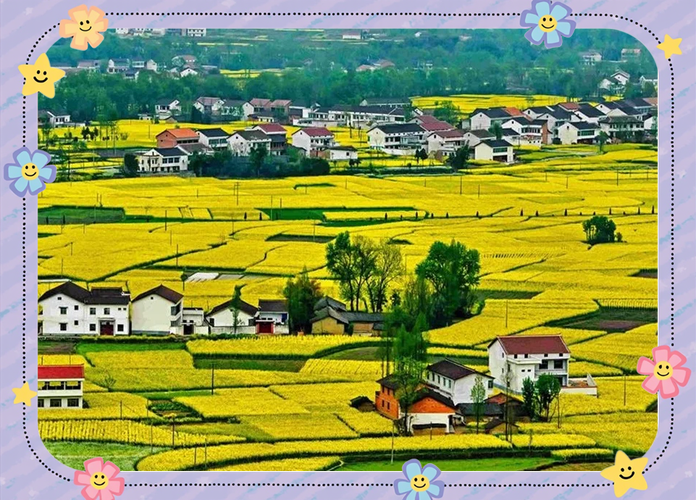 2025年4月15日 第2页