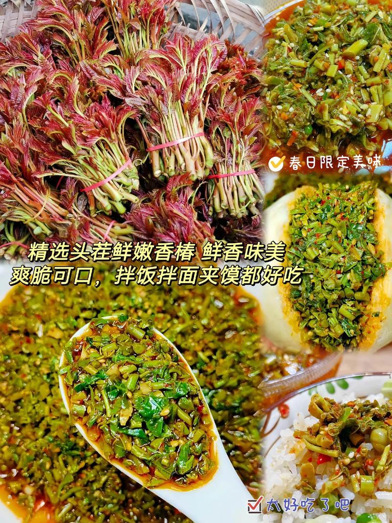 又到吃香椿芽的季节啦，你腌香春了吗。内容启发搜索