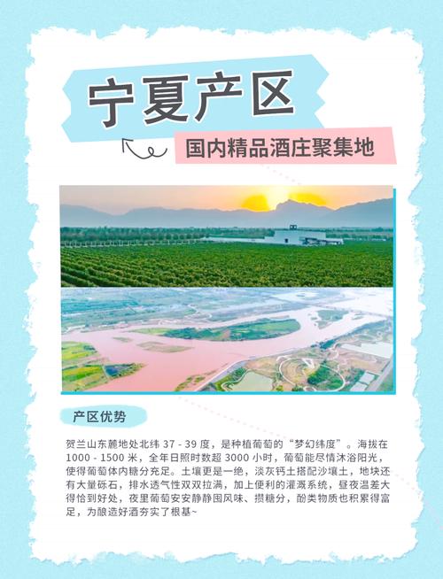 当宁夏遇上了葡萄酒，贺兰山东麓如何用一杯酒撬动千亿产业？