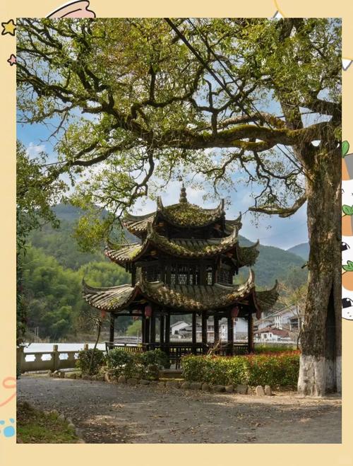 浙江深山发现废弃古寺，气势恢宏却空无一物，里面到底藏了何秘密