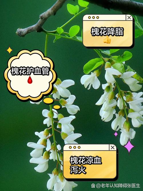 医生提示：春天吃槐花，你需要了解的知识#又到了吃槐花的季节