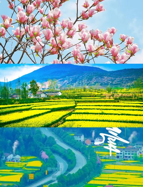 大美中国 走进洋县