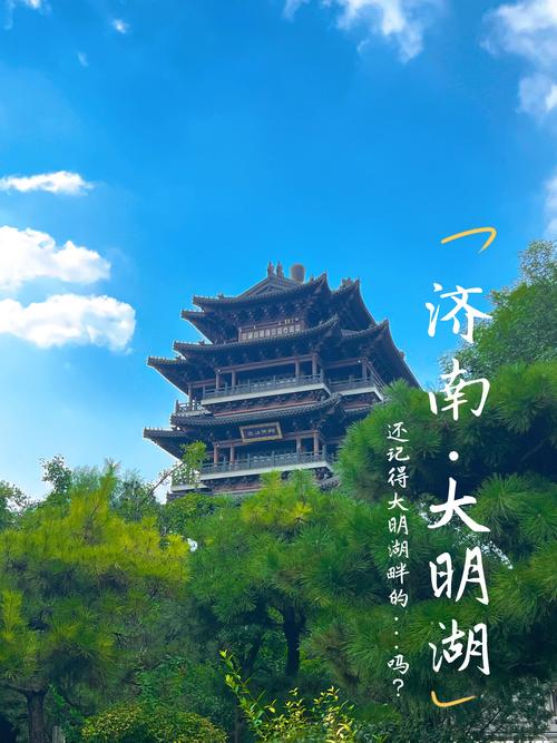 #抖音热歌 抖音小助手 大明湖 济南