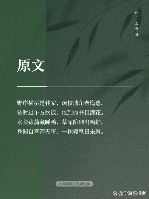 邹平春日书事：花影墨香里的诗意栖居
