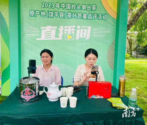 茶叶积压源头：大量直播间涌进茶山，传统茶企更加边缘化！