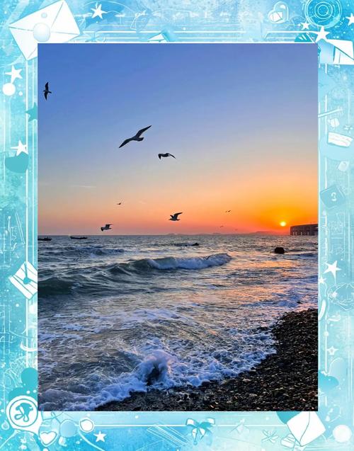 领略海滨之美！这些惊艳“镜头”都藏在这里