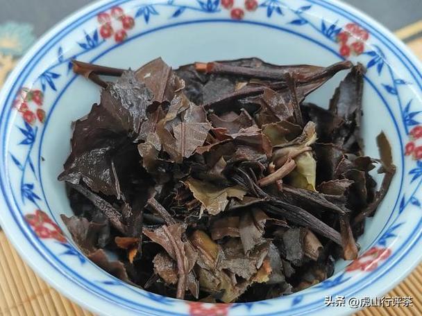 巧克力白茶寿眉性价比如何？2019鼎白藏寿评测