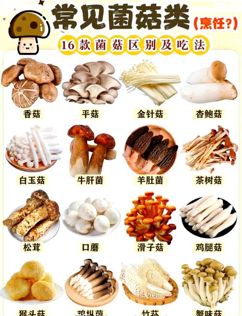 3种菌菇8道菜，表嫂又失算了，表嫂厨艺杠杠的