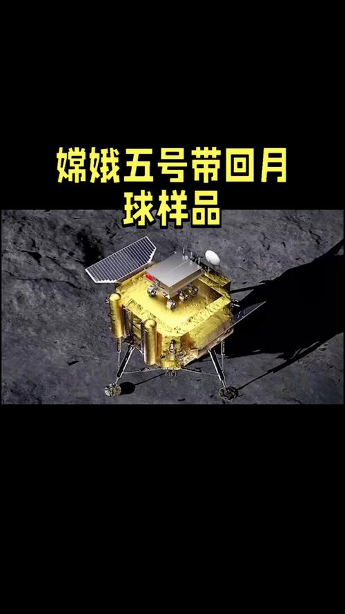 2025年4月24日 第8页