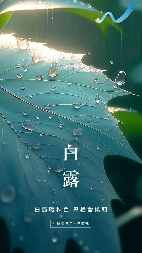 今日白露，和敬一丹在长城感受白露之美