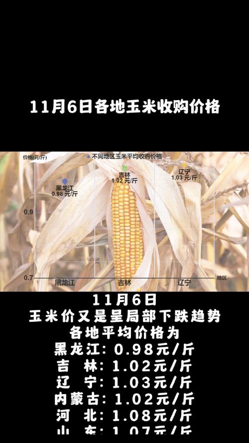噩耗：企业“底线”下调，玉米下跌空间扩大