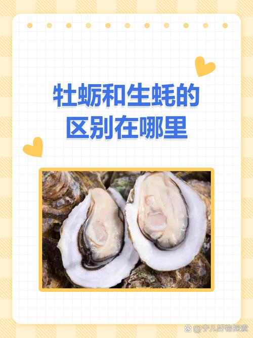 美食 第10页