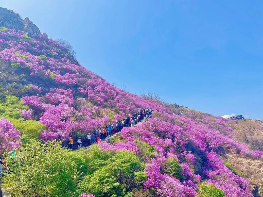 5月起开放！来平武虎牙，打卡飞瀑奇观、杜鹃花海…