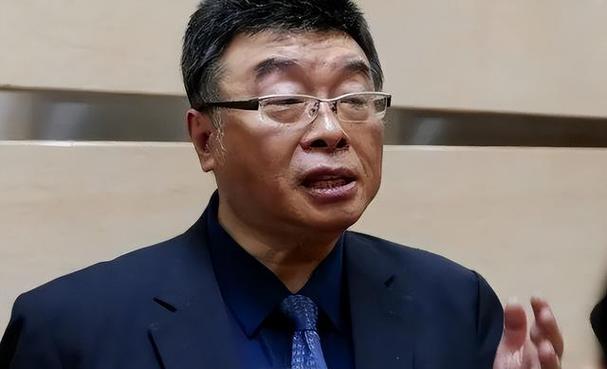 蓝营大佬被抓，蔡正元和朱立伦情况不妙，国民党遭重创，邱毅献策