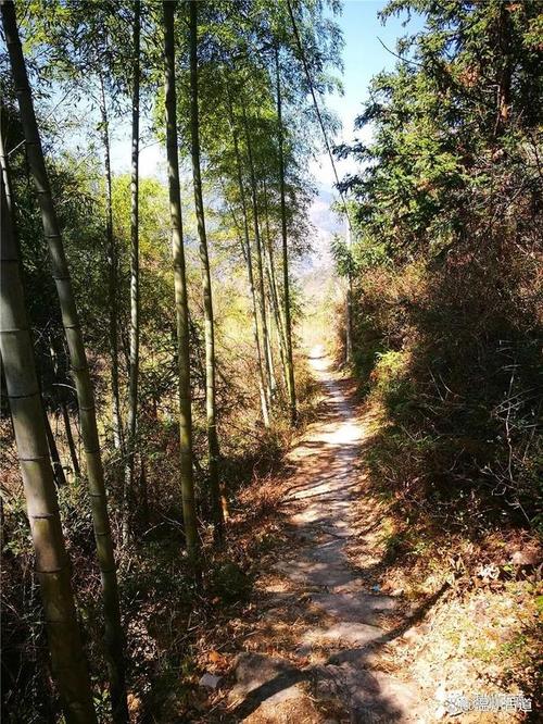 浙江深山里的秘境之路，三市交界的盐帮古道