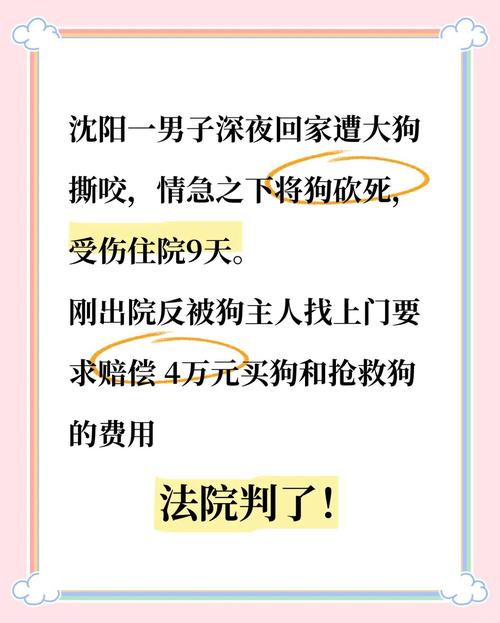 4月21日山东：男子带狗接对象 狗狗误踩油门冲河沟后现"郁闷脸"