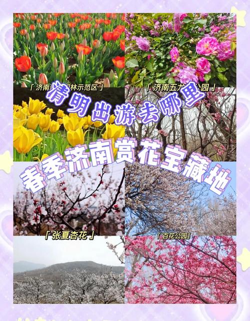 @济南人，别等了！已进入最佳观赏期！快来邂逅一场暮春的浪漫~