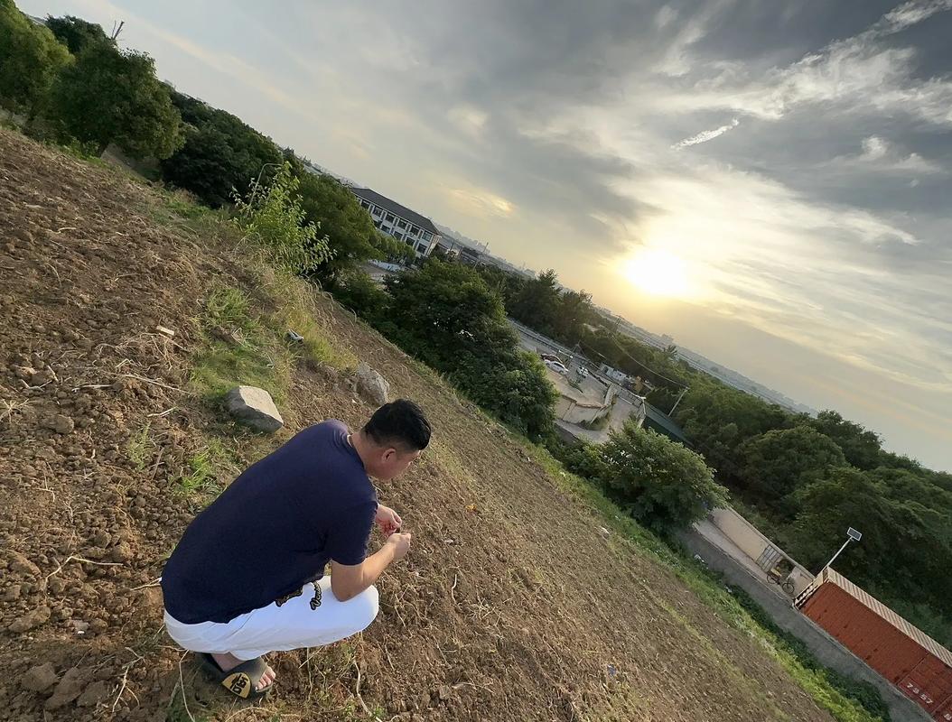 挖野菜莫“上头”高速公路忌乱走