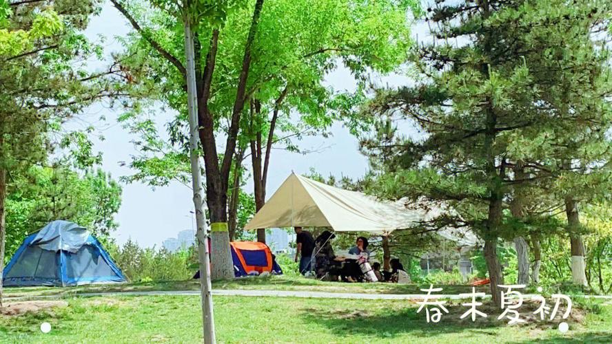 春末泉城公园迎露营热潮 镜相