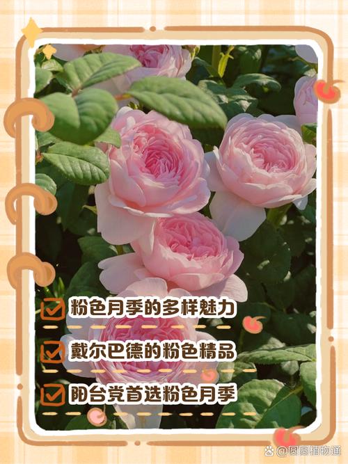 旅游 第6页