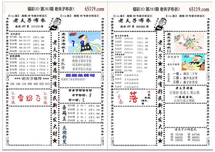 澳门王中王100%的资料2024年009期港澳福彩-全面释义、专家解释与落实与警惕虚假宣传