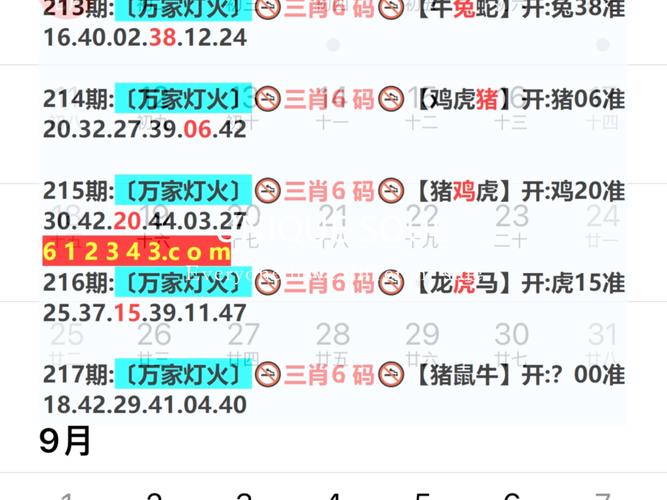2024澳门码今晚开奖结果记录-全面释义、解释与落实与警惕虚假宣传