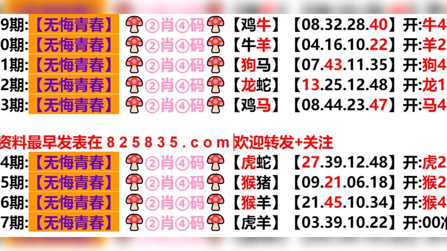 新澳门今晚开奖号码查询-全面释义、专家解释与落实与警惕虚假宣传