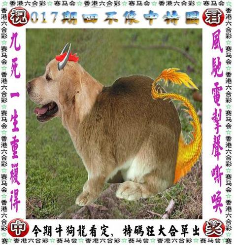 王中王免费资料大全料大全一一王-全面释义、解释与落实与警惕虚假宣传