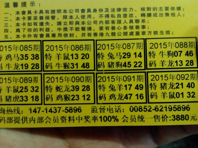 2024澳门精准正版资料生肖卡,精选释义、解释与落实与警惕虚假宣传