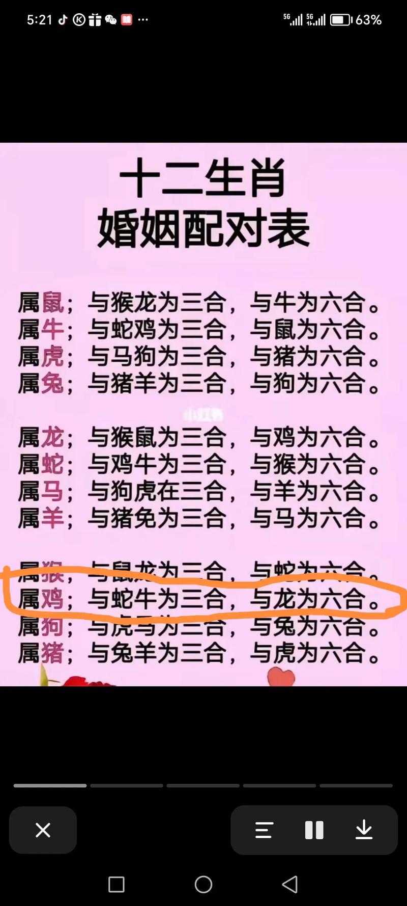 澳门正版资料大全资料生肖卡四大才子状元查询,2025年最新实用信息汇总指南