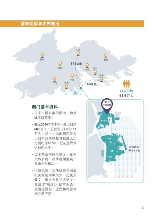2025新澳门天天精准免费大全,全面释义、解释与落实与警惕虚假宣传