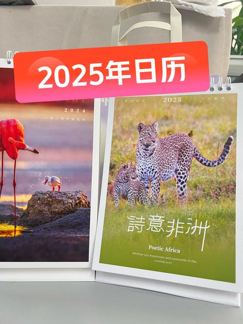 2025年正版资料免费大全查询,2025年最新实用信息汇总指南
