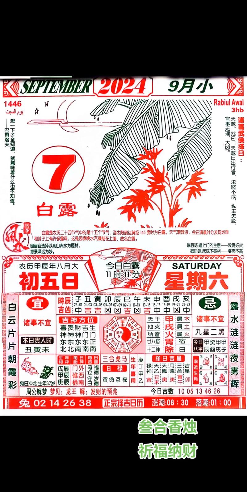 新澳门2025最精准免费大全刘伯温,2025全面解析实用技巧分享
