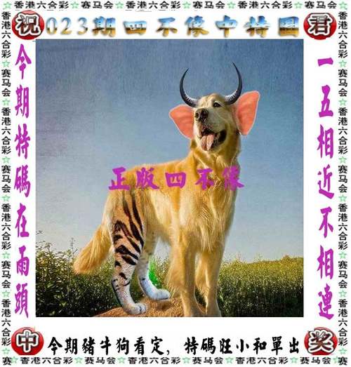 新澳今天最新资料2024年开奖号码是多少查询,2025年最新实用信息汇总指南